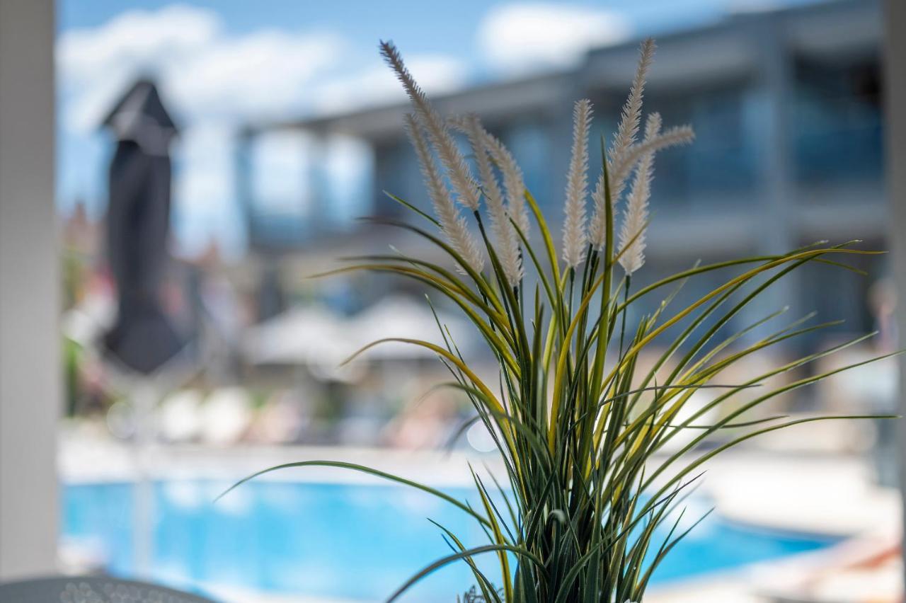 Dionysos Hotel & Suites Ханиоти Экстерьер фото