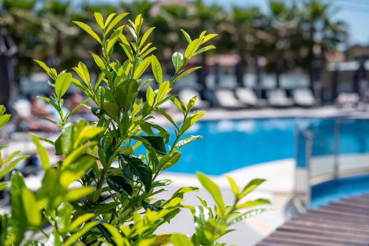 Dionysos Hotel & Suites Ханиоти Экстерьер фото